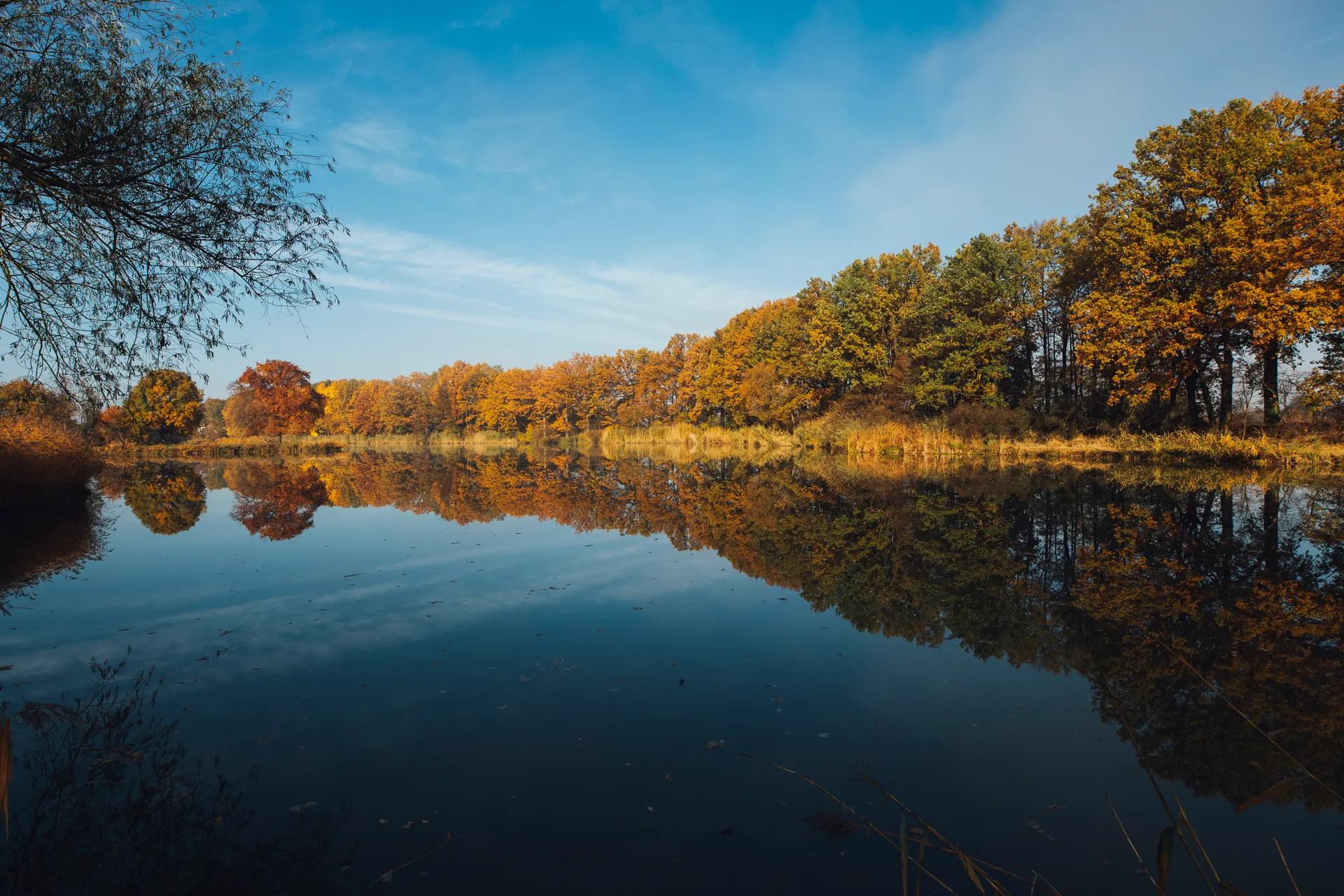 Fall Foliage Reflection in Lake Wallpaper