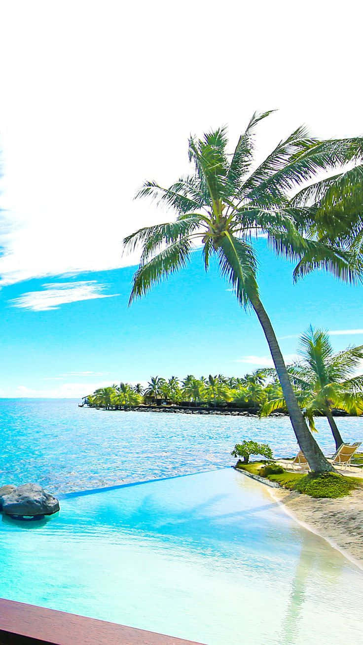 Luxurious Pool – Four Seasons, Bora Bora widescreen